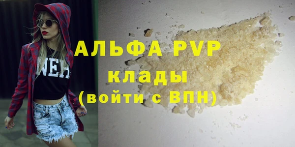 прущие грибы Балабаново