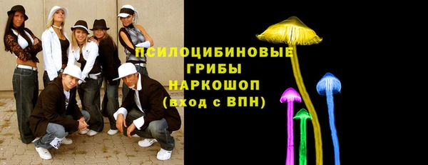 spice Баксан