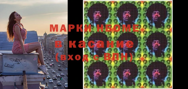 прущие грибы Балабаново