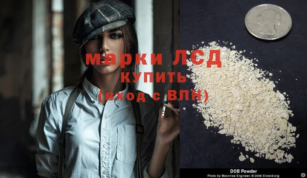 прущие грибы Балабаново