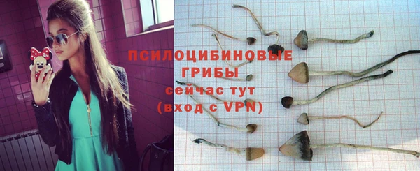 бошки Балахна