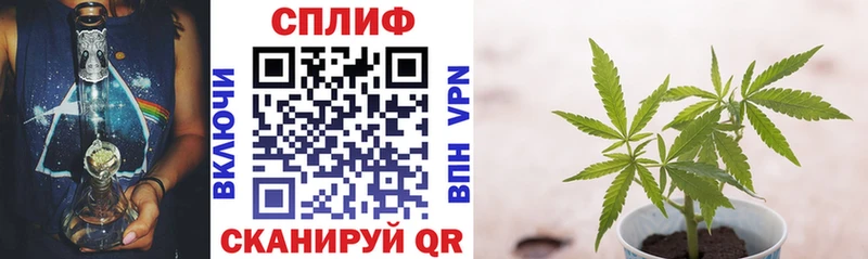 Шишки марихуана Ganja mega Орлов